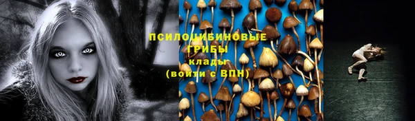 spice Заводоуковск
