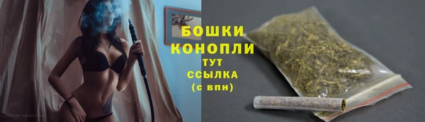 сатива Зерноград